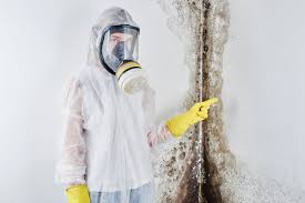 Best Air Quality Testing for Mold Spores  in Smithfield, VA